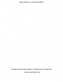 CONSTRUCCIÓN DE INDICADORES Y MÉTODOS DE ANÁLISIS PARA GESTIONAR PROYECTOS