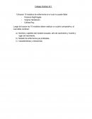 Modelos de Enfermería