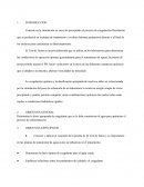 Proyecto estadistica El Test de Jarras