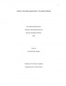 Contexto y desarrollo organizacional - Caso empresa Mattelsa