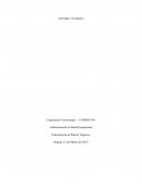 Estructura de un Plan de Negocios