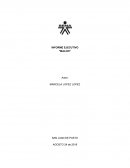 INFORME EJECUTIVO “MALOO”