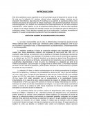Análisis Bloqueadores Solares