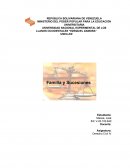 Derecho Civil. Familia y Sucesiones