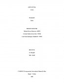 Taller costos de la empresa