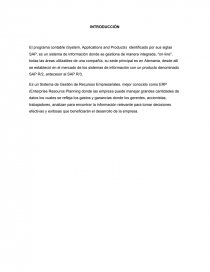 SISTEMA DE INFORMACION GERENCIAL PROGRAMA CONTABLE SAP. Página 1