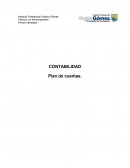 PLAN Y MANUAL DE CUENTAS
