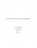 Relacionar principios básicos del fenómeno eléctrico a situaciones cotidianas