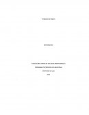 Ingles verbos irregulares