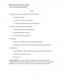 Marco Teorico. El efecto de los topes mexicanos sobre el medio ambiente