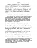 Ensayo Comunicación de marketing integral