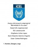 Avance del proyecto empresarial “Mermelada la tía cesar” Desarrollo organizacional