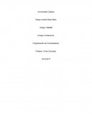 Ensayo Conferencia Programación de Computadores