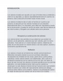 Valores Morales. Sinopsis (La construcción de valores)