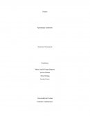 Competencia comunicativa. ¿Qué es el aprendizaje autónomo?
