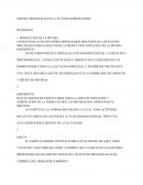 SISTEMA PROCESALES EN LA ACTIVIDAD PROBATORIA