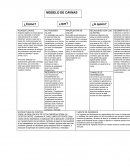 Naturaleza del proyecto