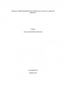 ANÁLISIS Y DIMENSIONAMIENTO DEL SERVICIO DE TAXI EN LA CIUDAD DE MEDELLIN