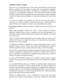 Auditoria en base a riesgos