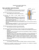 TEMARIO DE EXAMEN TRIMESTRAL BIOLOGÍA VI AÑO