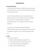 Ecological brick’s