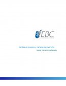 Perfiles de inversor y carteras de inversión