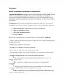 PERSONALIDAD BOLILLA I: “PERSONEIDAD, PERSONALIDAD Y PERSONALIZACIÓN”.