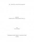 Manejar IDE y estructuras básicas de programación