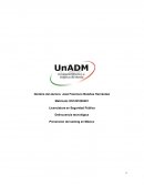 Delincuencia tecnológica. Prevención del sexting en México