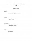 Ensayo “La caja”