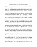 LIDERAZGO EN LAS ORGANIZACIÓNES
