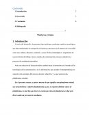 Plataformas virtules