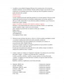 Lenguaje. Gramática