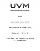 Ensayo sobre Calor, Temperatura y Leyes de la Termodinámica