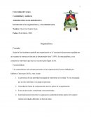 Introducción a las organizaciones y a la administración