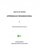 APRENDIZAJE ORGANIZACIONAL - ENSAYO DE OPINIÓN