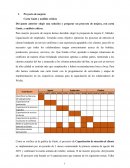 Proyecto de mejora: Carta Gantt y análisis críticos
