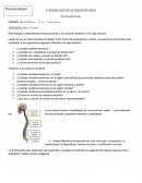 TRABAJO PRÁCTICO DE EDUCACIÓN FÍSICA