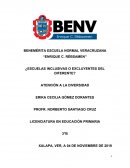 ENSAYO DE ATENCIÓN A LA DIVERSIDAD