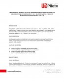 LABORATORIO DE MECÁNICA DE SUELOS: DETERMINACIÓN DEL LÍMITE LÍQUIDO DE LOS SUELOS