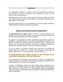 Una organización consiste en personas cuyas tareas específicas se coordinan para contribuir al logro de los objetivos de una empresa