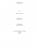 Diagnósticos Solidarios