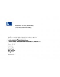 DISEÑO CURRICULAR DEL PROGRAMA DE INGENIERIA QUIMICA. Página 1