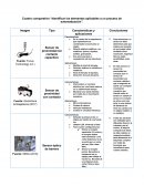 Cuadro comparativo “Identificar los elementos aplicables a un proceso de automatización”