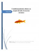 TRABAJO APRENDIZAGE MOTIVACION Y EMOCION : PEZ