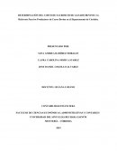 DETERMINACIÓN DEL COSTO DE SACRIFICIO DE LA CARNE BOVINO