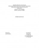 Proteccion de accidentes