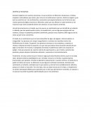 Emociones. DENTRO DE NOSOTROS