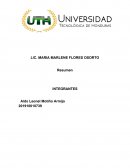 PELICULA DE RATATOUILLE