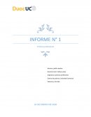 INFORME N° 1 Práctica profesional : Sociedad Comercial Valencia y Cia Ltda